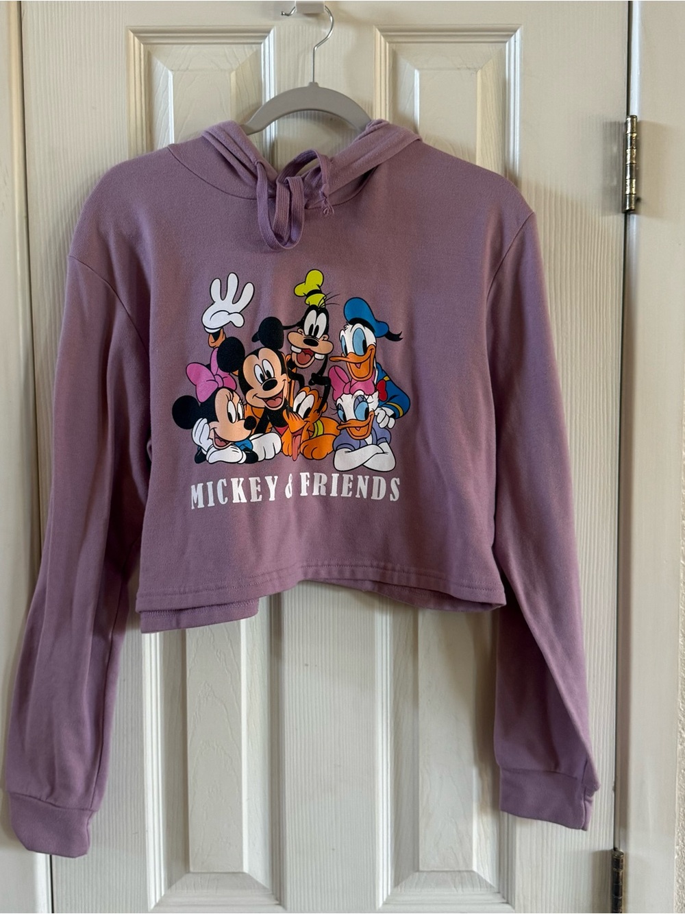 Disney Mauve Mickey & Friends Cropped Hoodie
